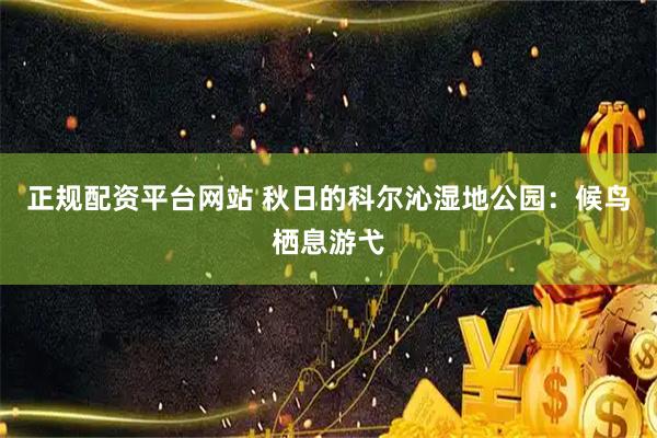 正规配资平台网站 秋日的科尔沁湿地公园：候鸟栖息游弋